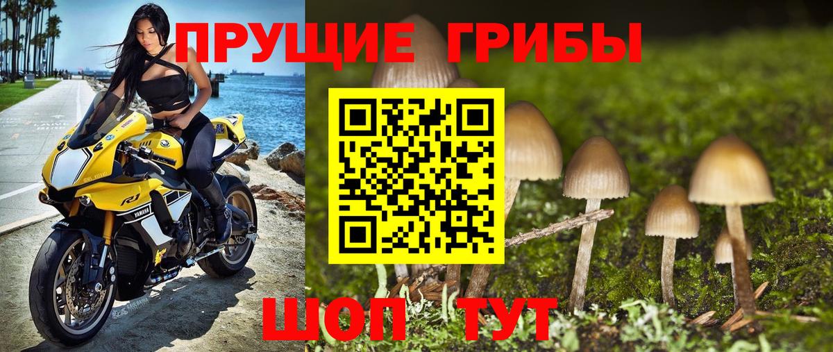 Галлюциногенные грибы мицелий Тайшет
