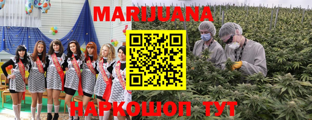 Конопля планчик Тайшет